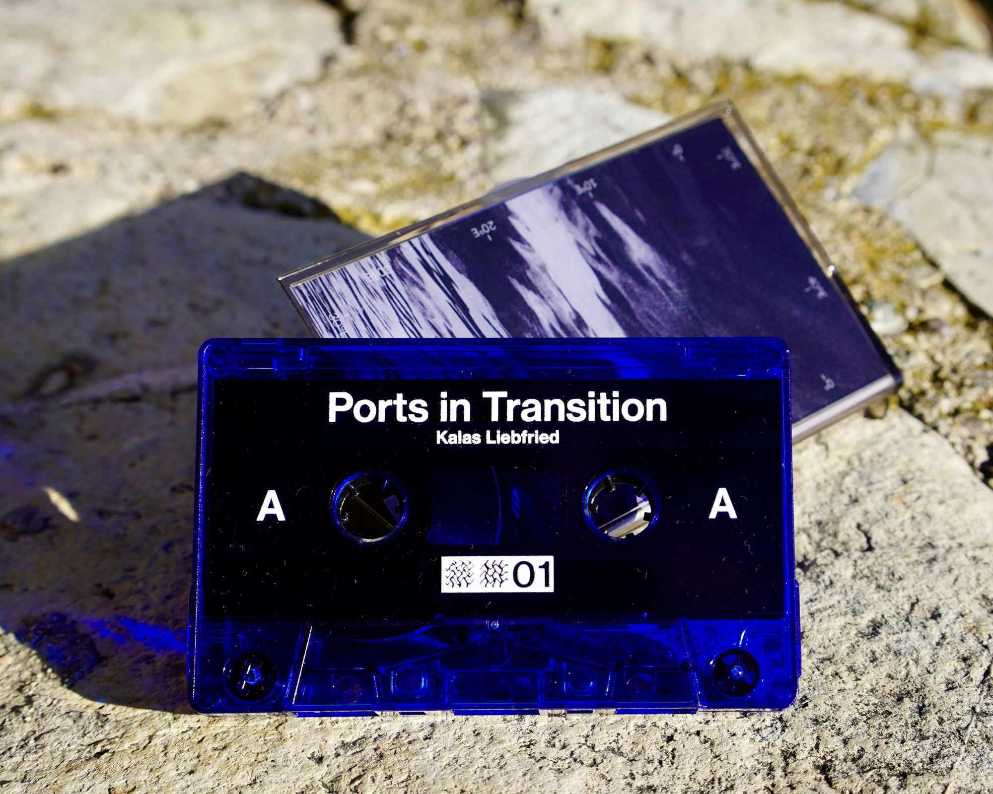 Kalas Liebfried - Ports in Transition C60 Cassette